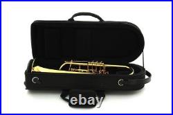 ACB Blowout Sale Brand New Schagerl Single Trumpet Case