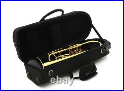 ACB Blowout Sale Brand New Schagerl Single Trumpet Case