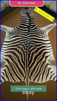 African Authentic / Genuine Tanned Zebra Skin / Hide / Rug / Clearance Sale