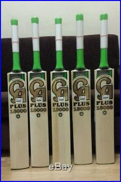 Ca Plus 15000 Cricket Bat, Grade 1, Brand New, End Of Season Sale, Reduced Price