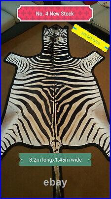 Felted Trophy grade Zebra Skins 35% OFF CLEARANCE SUMMER SALE! Limited Stock