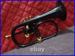 HOT! SALE BRAND NEW BLACK BRASS Bb FLUGEL HORN+FREE CASE+MOUTHIPIECE