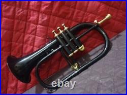 HOT! SALE BRAND NEW BLACK BRASS Bb FLUGEL HORN+FREE CASE+MOUTHIPIECE