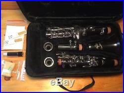 On Sale-Andino Solid Wood Clarinet Brand New Set Up and Tuned withWarranty, Extras
