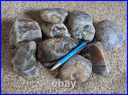 REDUCED PRICE! 13.5 LBS HIGH GRADE Montana Agate FOR SALE