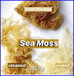 SEA MOSS WILD Harvest DR SEBI IRISH MOSS 2 Ounce HOLIDAY SALE BUY IT NOW $7.00
