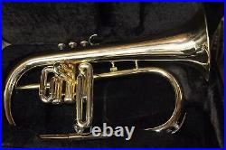 SUMMER SALE BRAND NEW BRASS Bb FLUGEL HORN+FREE CASE+MOUTHIPICE+FAST SHIPPING
