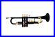 SUMMER SALE! Brand New Black Brass Bb FLAT Trumpet