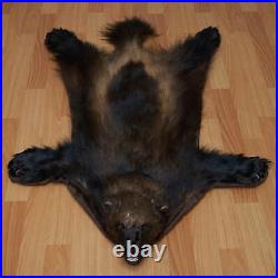 Wolverine Taxidermy Rug Mount With Head Pelt, Fur, Skin, Hide For Sale