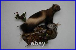 Wolverine With Hazel Grouse Taxidermy Mount Mounted, Stuffed Animals For Sale