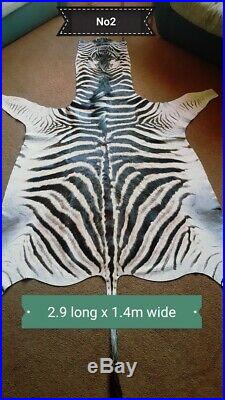 Zebra Skins Hides 30% OFF SALE A Grade PLUS Free shipping NEW Stock